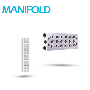 Manifold for DCS Series